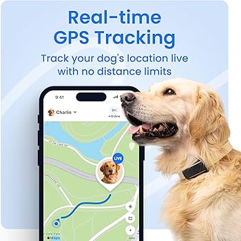 Tractive GPSドッグトラッカー Amazon | Tractive GPS DOG 4. 犬用トラッカー 追跡範囲無制限